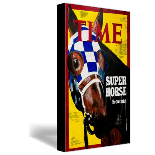 Super Horse Stretched Canvas Print