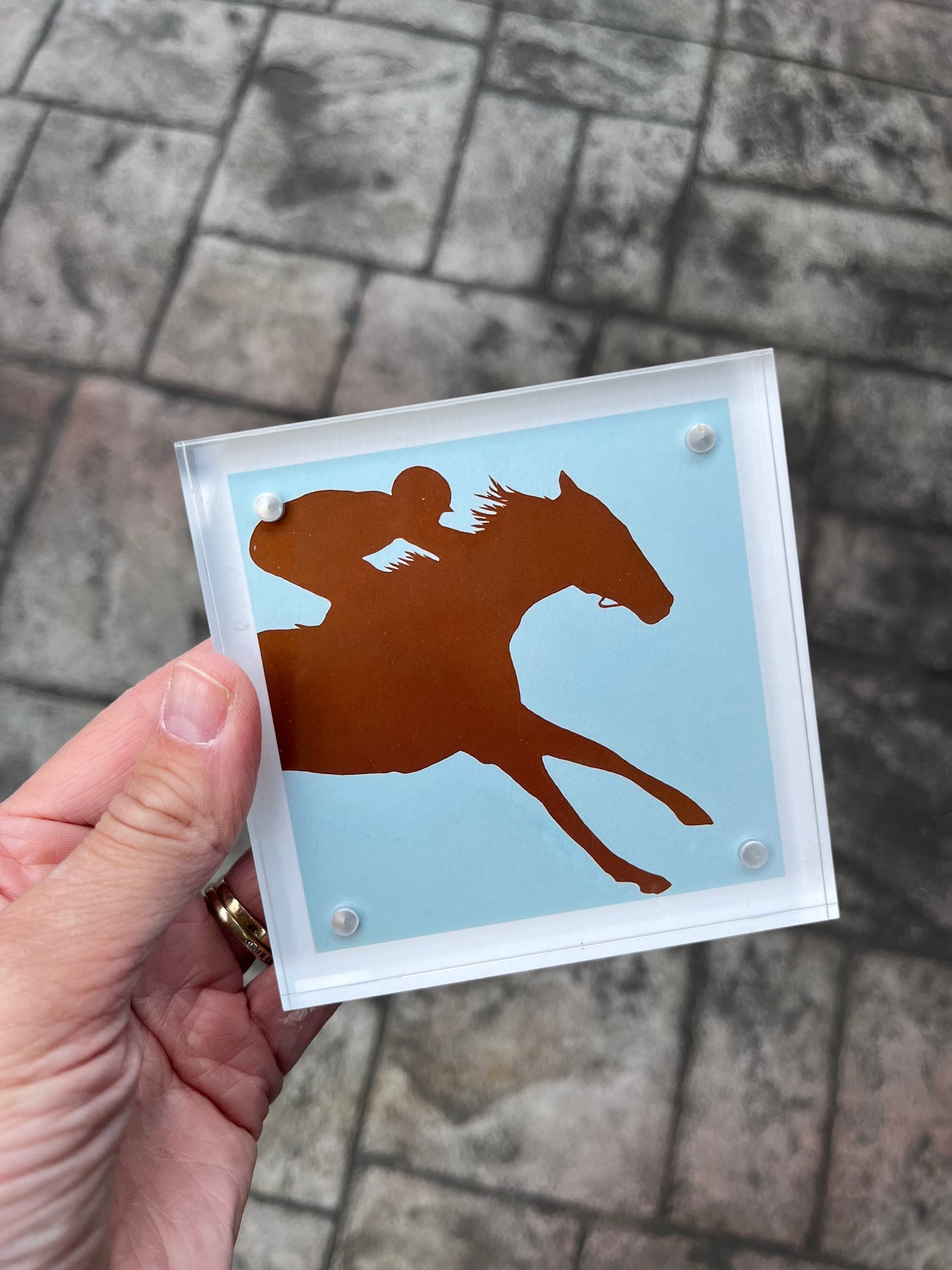 Race Horse Victory Silhouettes Prints